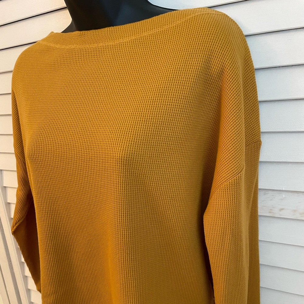 Anthropologie thermal